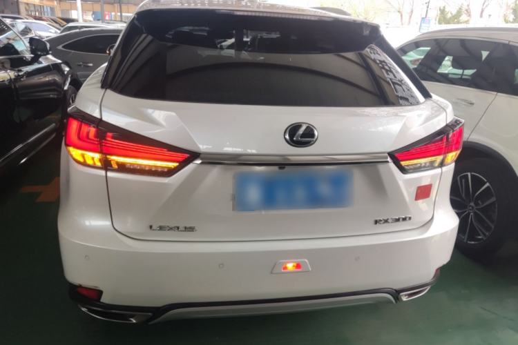 Used Lexus RX 2020 Facelifted 300 4x4 Elegant Edition Rear