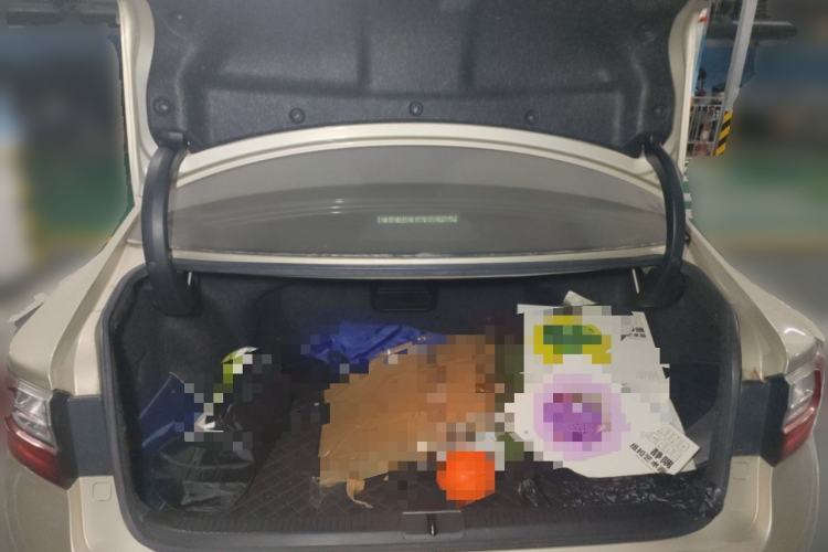 Used Lexus ES 2015 200 Elite Edition Trunk