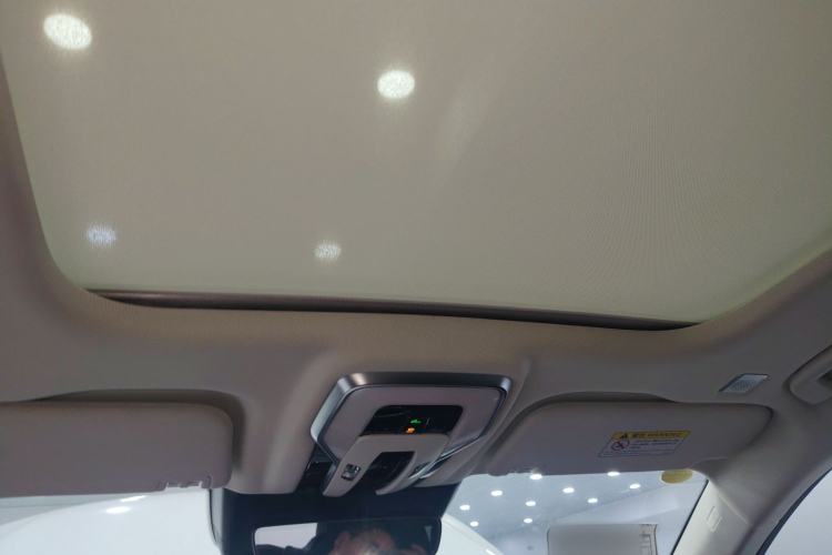 Used Hongqi E-HS9 2022 690 km Range Flagship Edition Six Seats Headliner