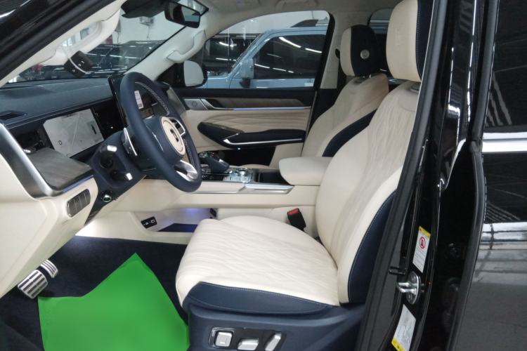 Used Tank 500 New Energy 2023 Hi4-T
