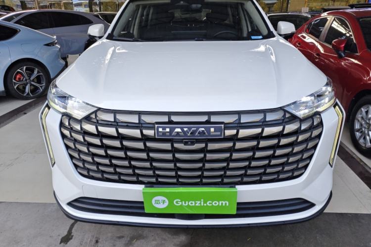 Used Haval H6 2024 1.5T Two-Wheel Drive Max