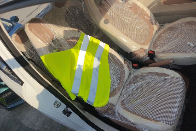 Used Bestune Pony 2025 222km Range Elegant Horse