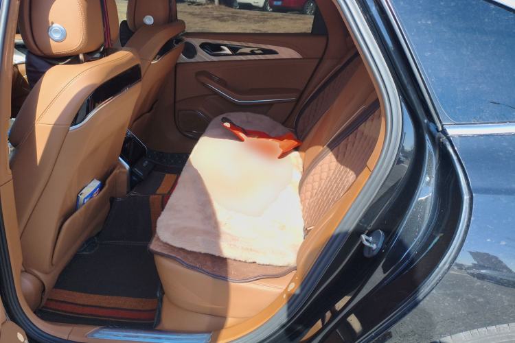 Used Hongqi H9 2020 2.0T Smart Connect Flagship Edition