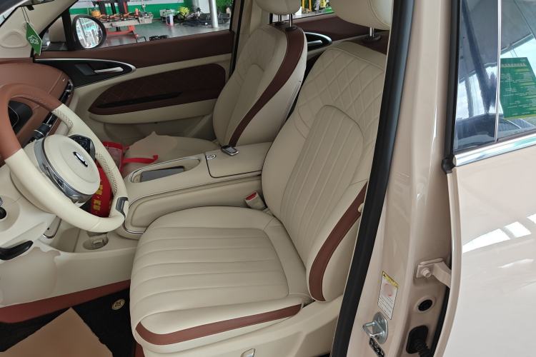 Used ORA Good Cat 2023 401 km Standard Range Luxury Version Lithium Iron Phosphate Left Front Seat