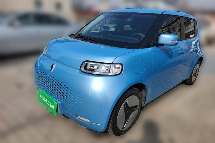 Used ORA White Cat 2020 360km Standard Version
