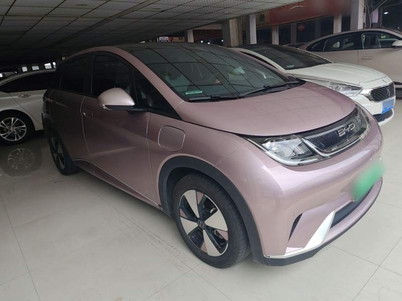 Used BYD Dolphin 2023 420 km Fashion Edition — 3