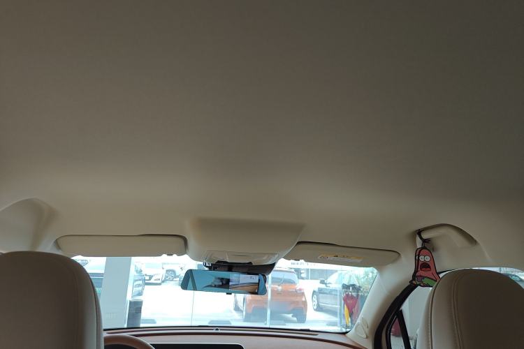 Used ORA Good Cat 2023 401 km Standard Range Luxury Version Lithium Iron Phosphate