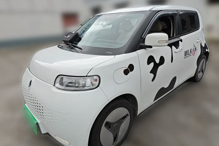 Used ORA White Cat 2020 360 km Luxury Version