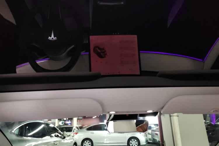 Used Tesla Model 3 2022 Performance High-Performance All-Wheel-Drive Version Headliner