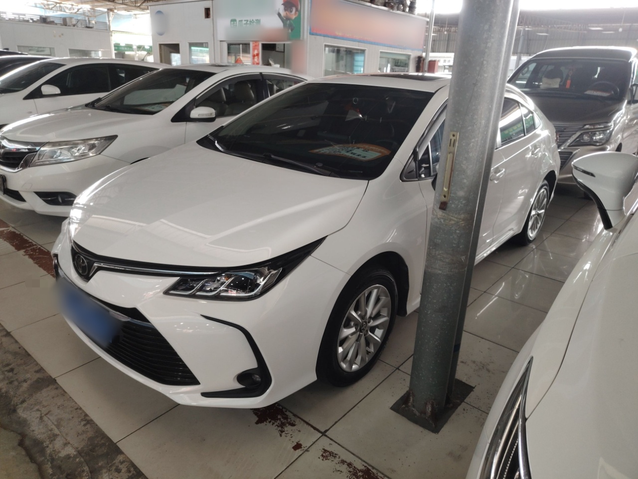 تحت مقدمة السيارة