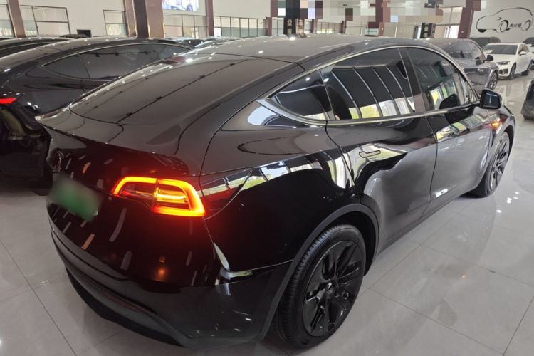 Used Tesla Model Y 2021 Standard Range Rear-Wheel Drive Version