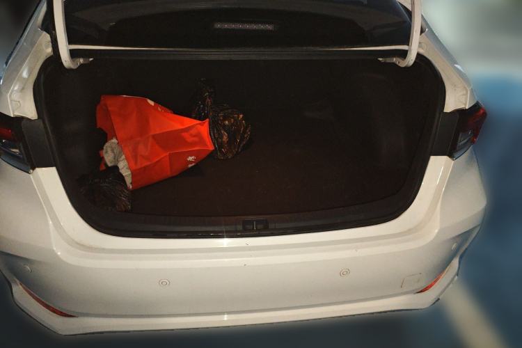 Used Toyota Corolla 2021 1.2T S-CVT Elite PLUS Edition
