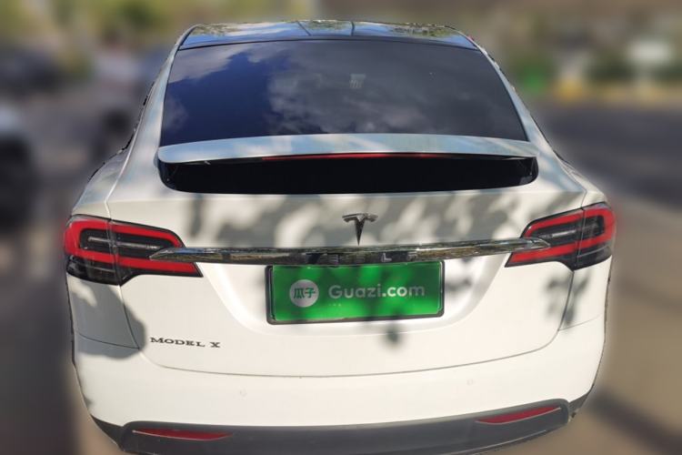 Used Tesla Model X 2017 X 100D Long Range Edition Rear