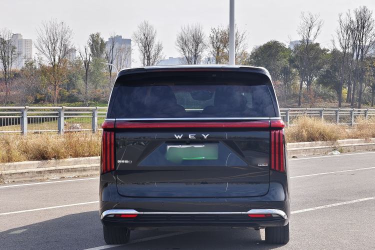 Used Wey Gaoshan 2023 Four-Wheel-Drive Executive Extended Version