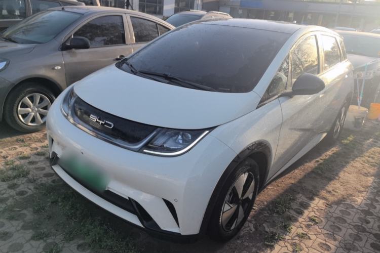 Used BYD Dolphin 2023 420 km Fashion Edition