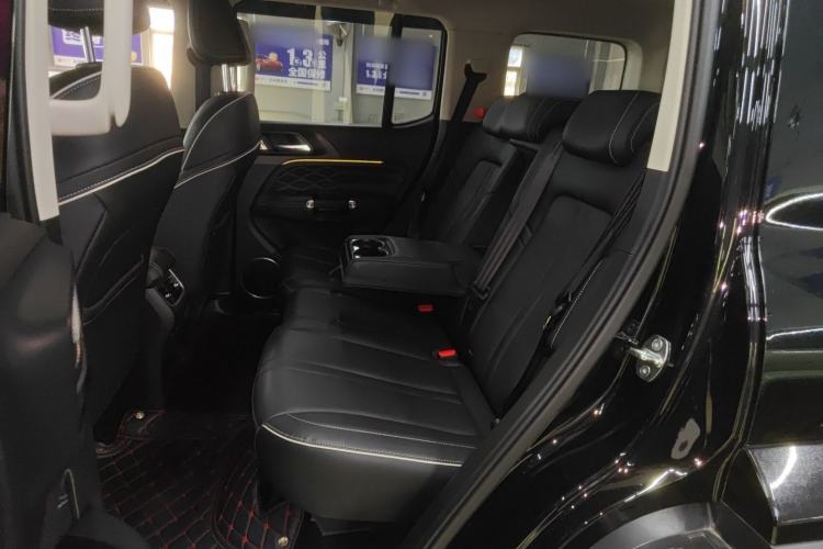 Used Tank 300 2024 2.0T Crosser