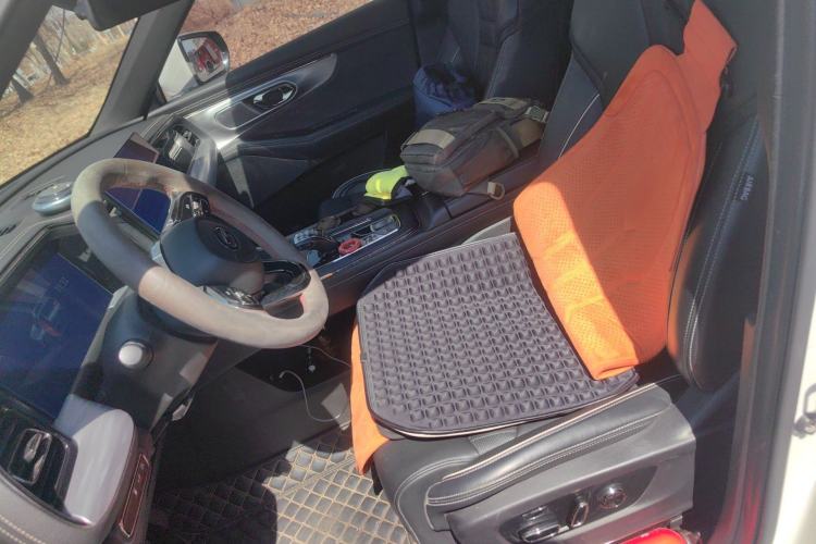 Used GAC Trumpchi GS8 2022 Dual-Engine Series 2.0TM Four-Wheel Drive Prestige Edition (6 Seats) Left Front Seat