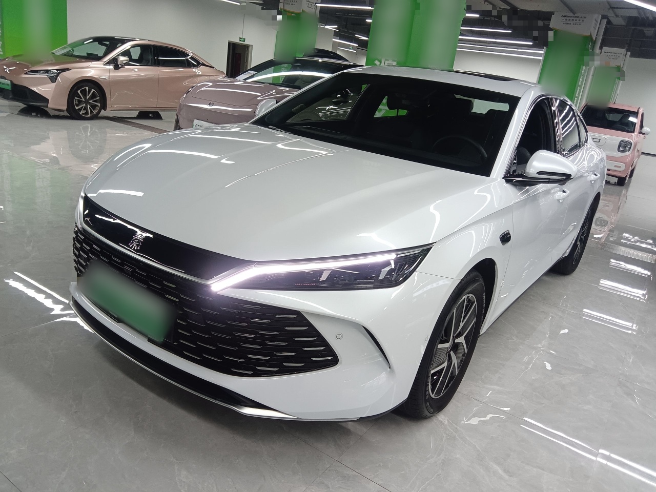 Parte inferior delantera