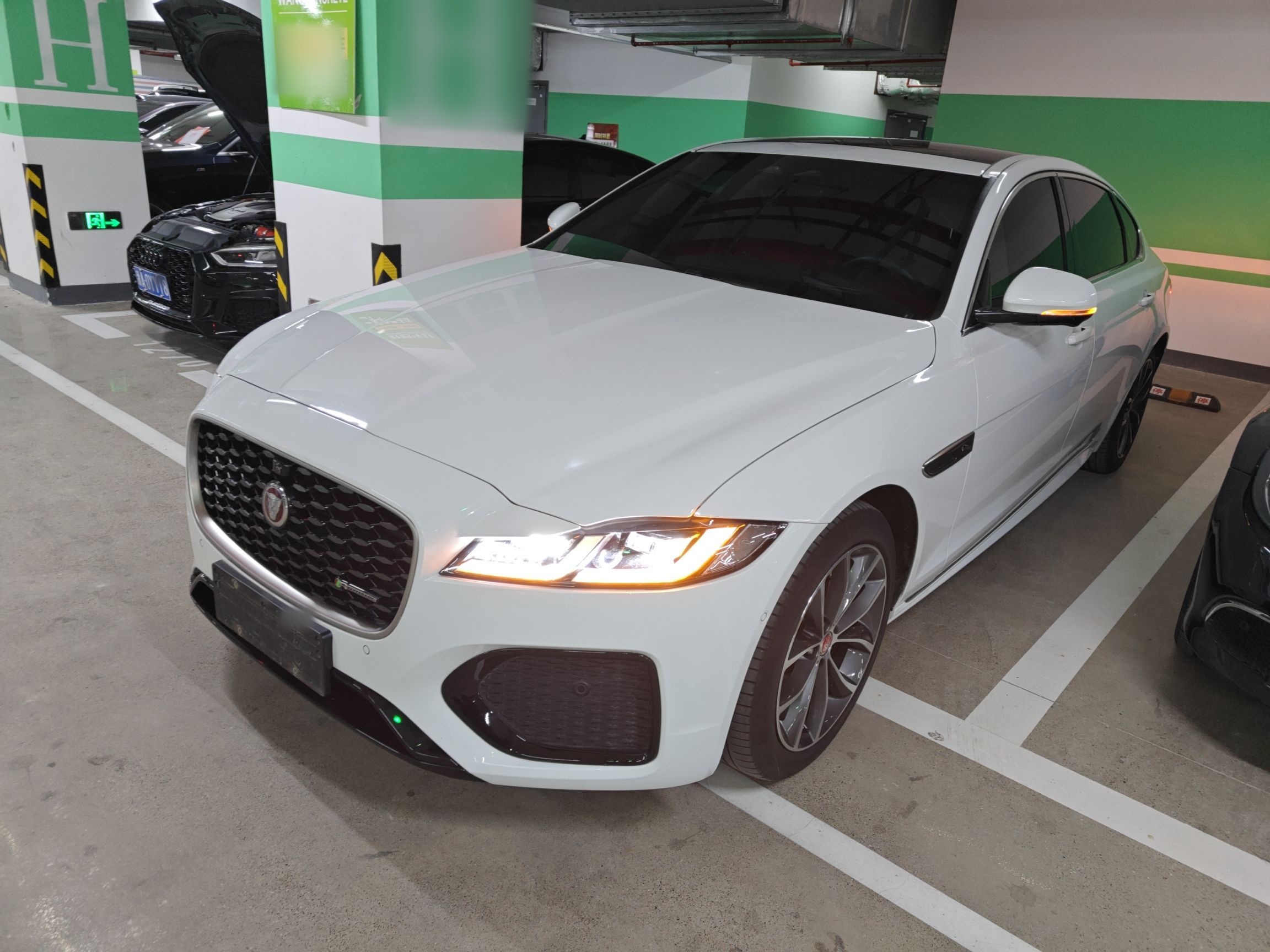 Parte inferior delantera