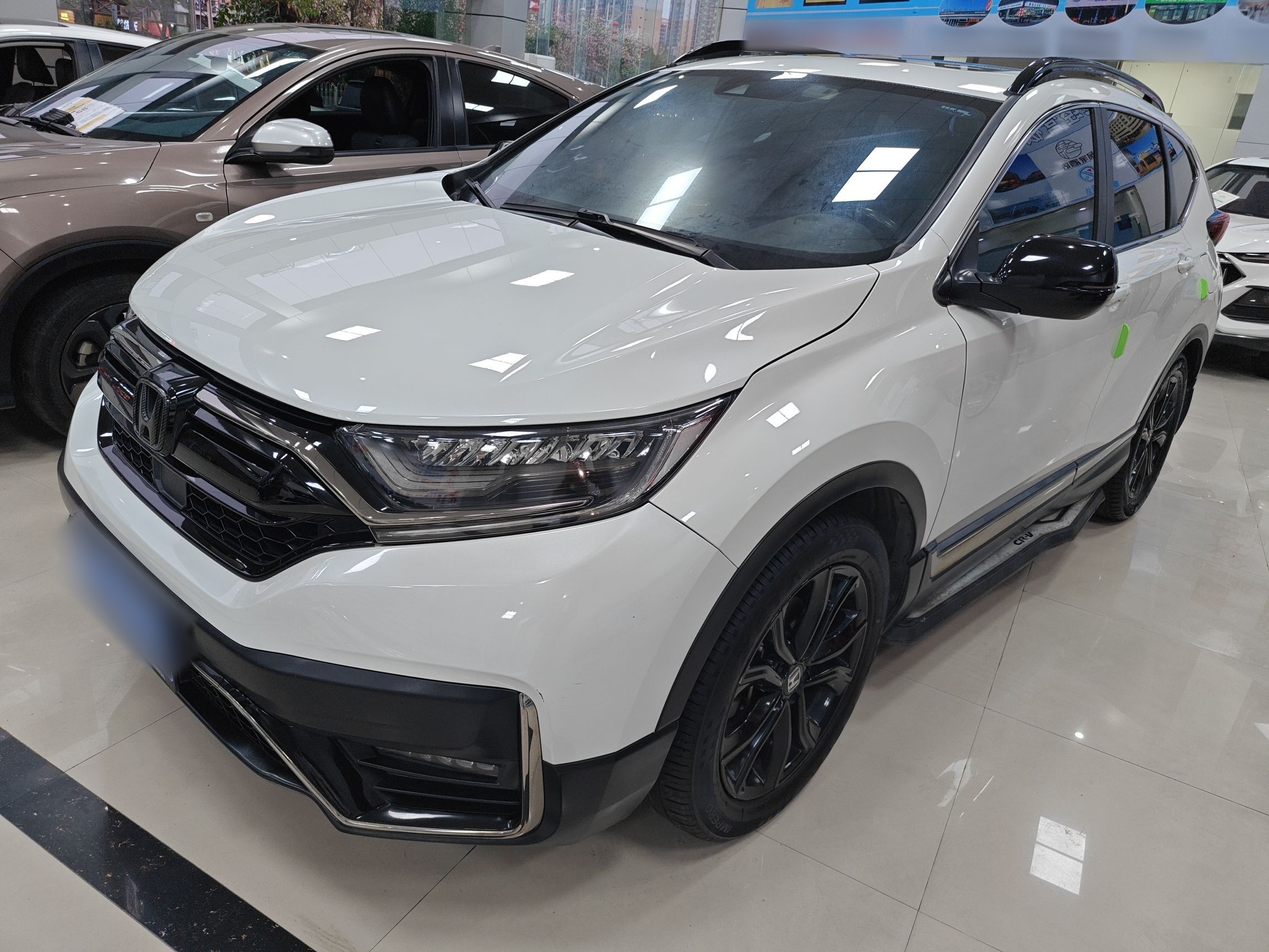 Parte inferior delantera