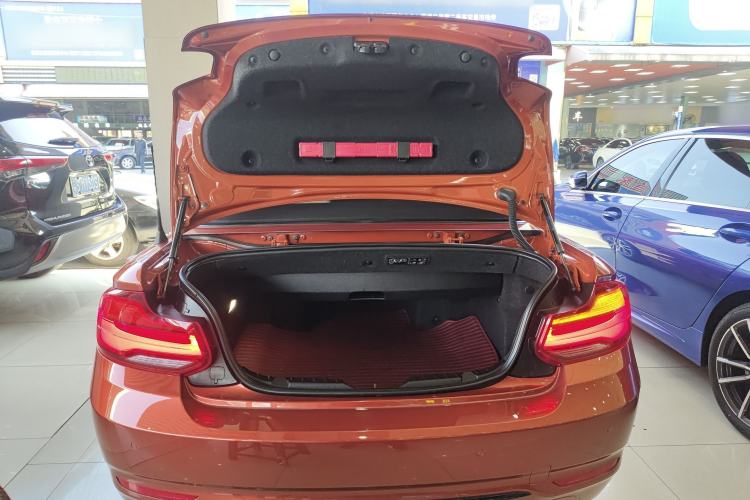 Used BMW 2 Series (Import) 2018 220i Convertible Coupe Sports Design Package
