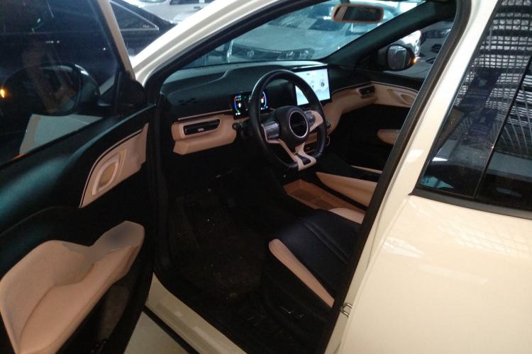 Used BYD Seagull 2023 Flying Edition Left Front Seat