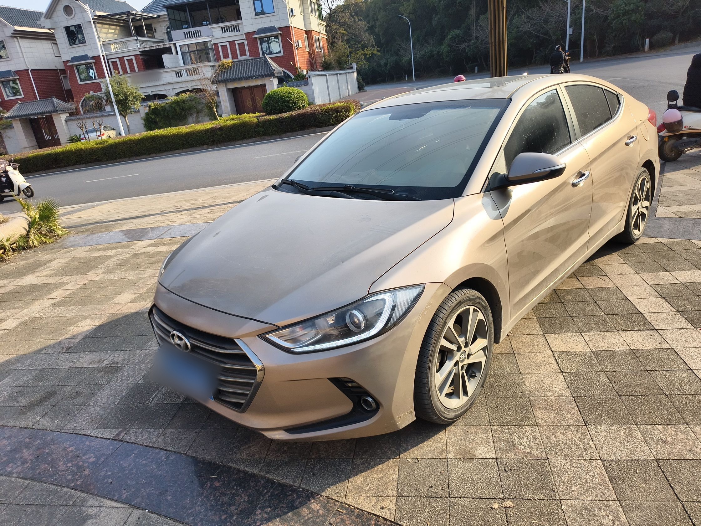 تحت مقدمة السيارة