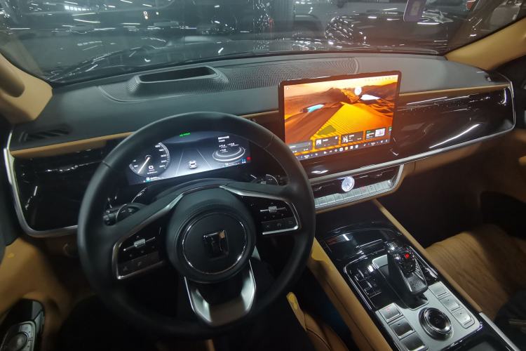 Used Tank 500 New Energy 2024 Hi4-T Center Console