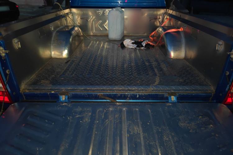 Used Foton General F9 2022 2.0T Diesel Automatic 4x4 Enjoyment Version Long Bed 4F20TC
