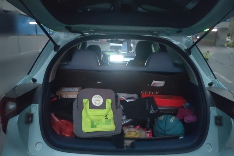 Used Geometry E Firefly 2022 320KM Cute Tiger 4-Seater
