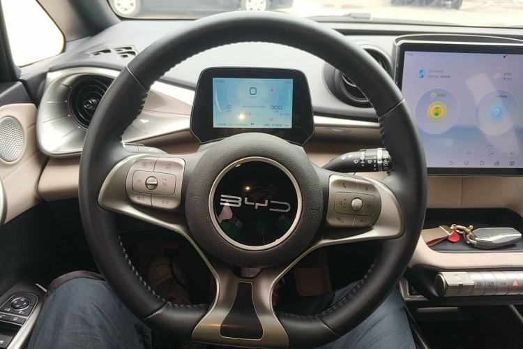 Used BYD Dolphin 2023 420 km Free Version
