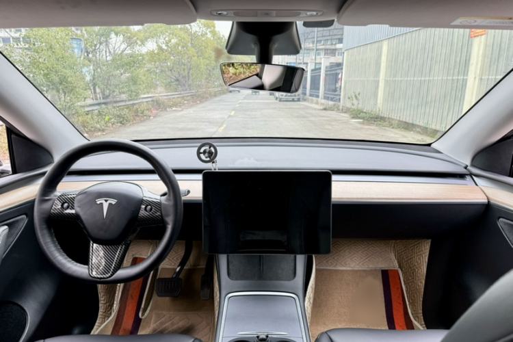 Used Tesla Model Y 2021 Standard Range Rear-Wheel Drive Version
