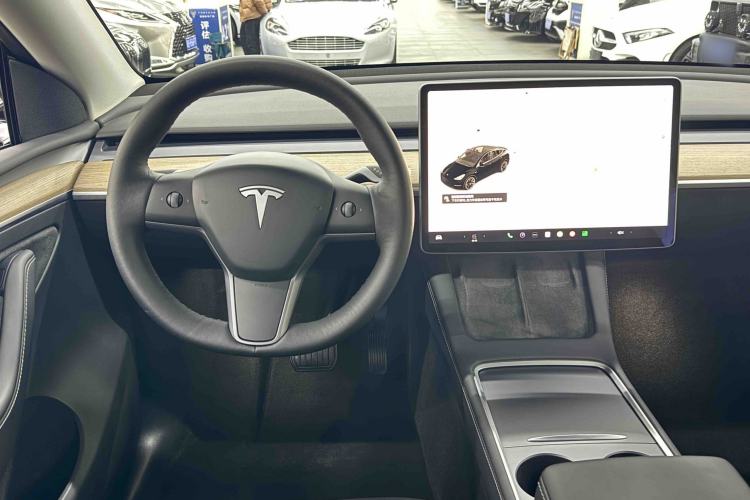 Used Tesla Model Y 2021 Standard Range Rear-Wheel Drive Version
