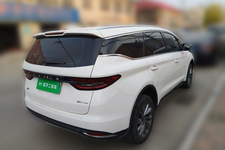 Used Livan Maple 80v PRO 2022 Comfort Model Long-Range Version