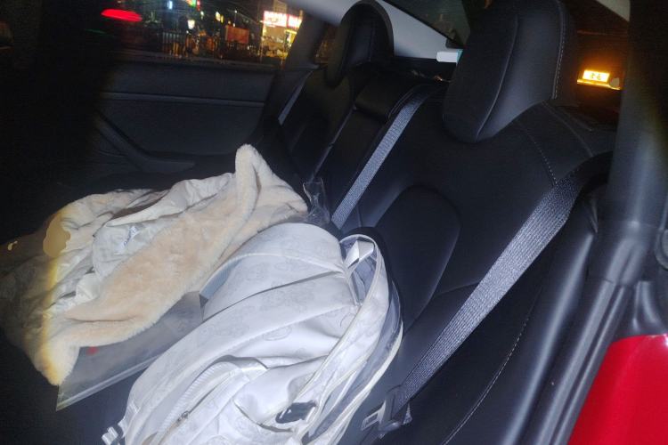 Used Tesla Model 3 2021 Standard Range Rear-Wheel Drive Upgraded Version 3D6 Left Rear Seat