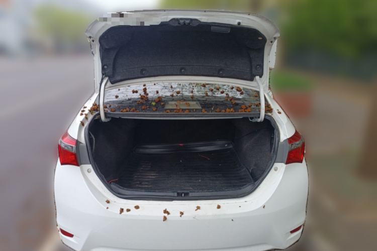 Used Toyota Corolla 2017 Revised Version 1.2T S-CVT GL-i Trunk