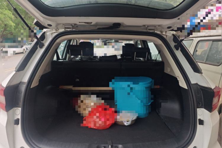 Used Changan CS55 2019 1.5T Automatic Colorful Edition China VI Standard
