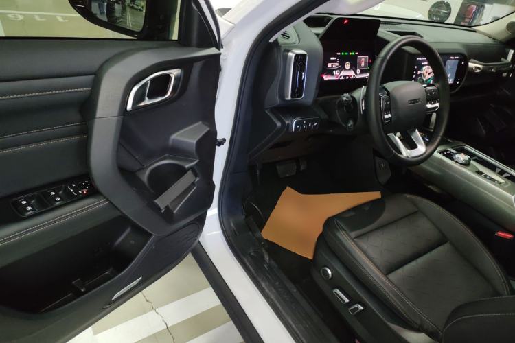Used Haval DARGO 2024 2.0T DCT Chinese Rural Dog Edition

