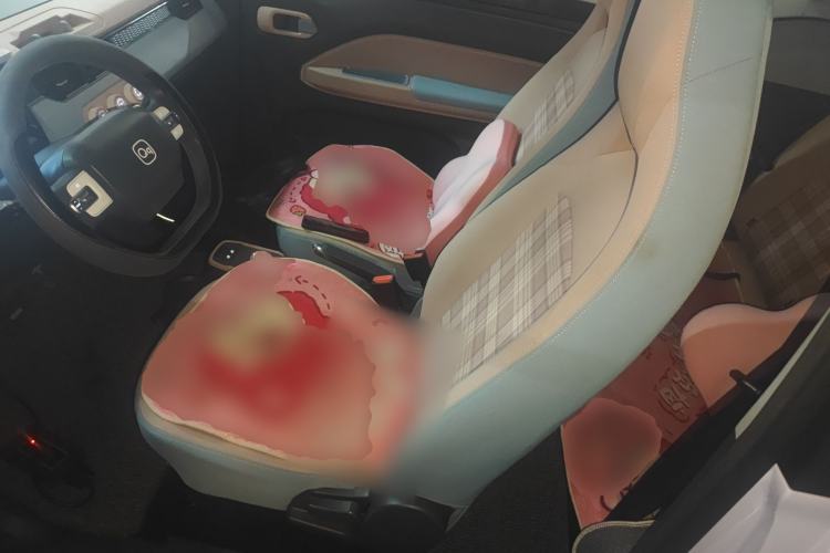 Used Chery QQ Ice Cream 2024 170km Sundae Left Front Seat