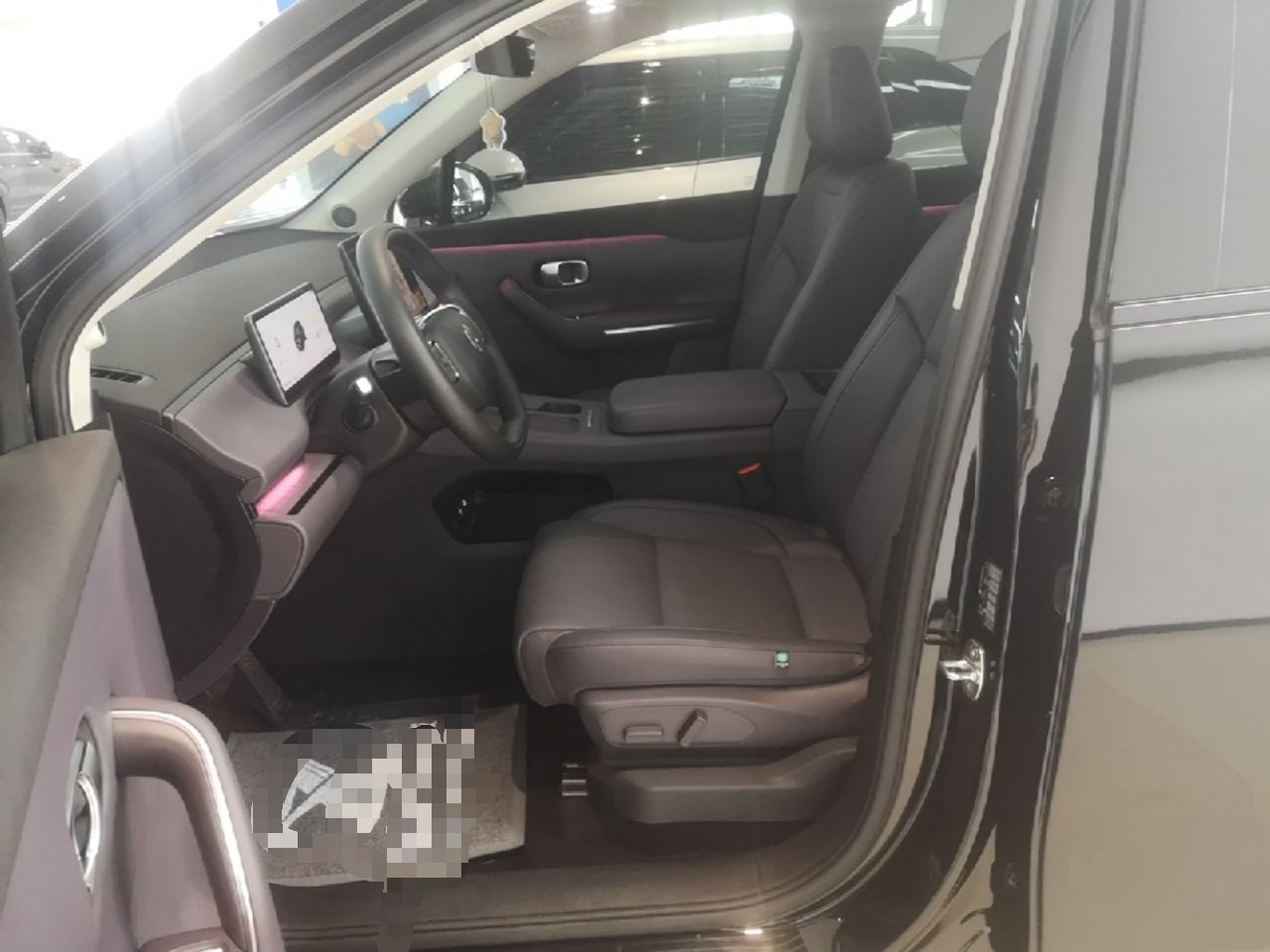 Interior delantero