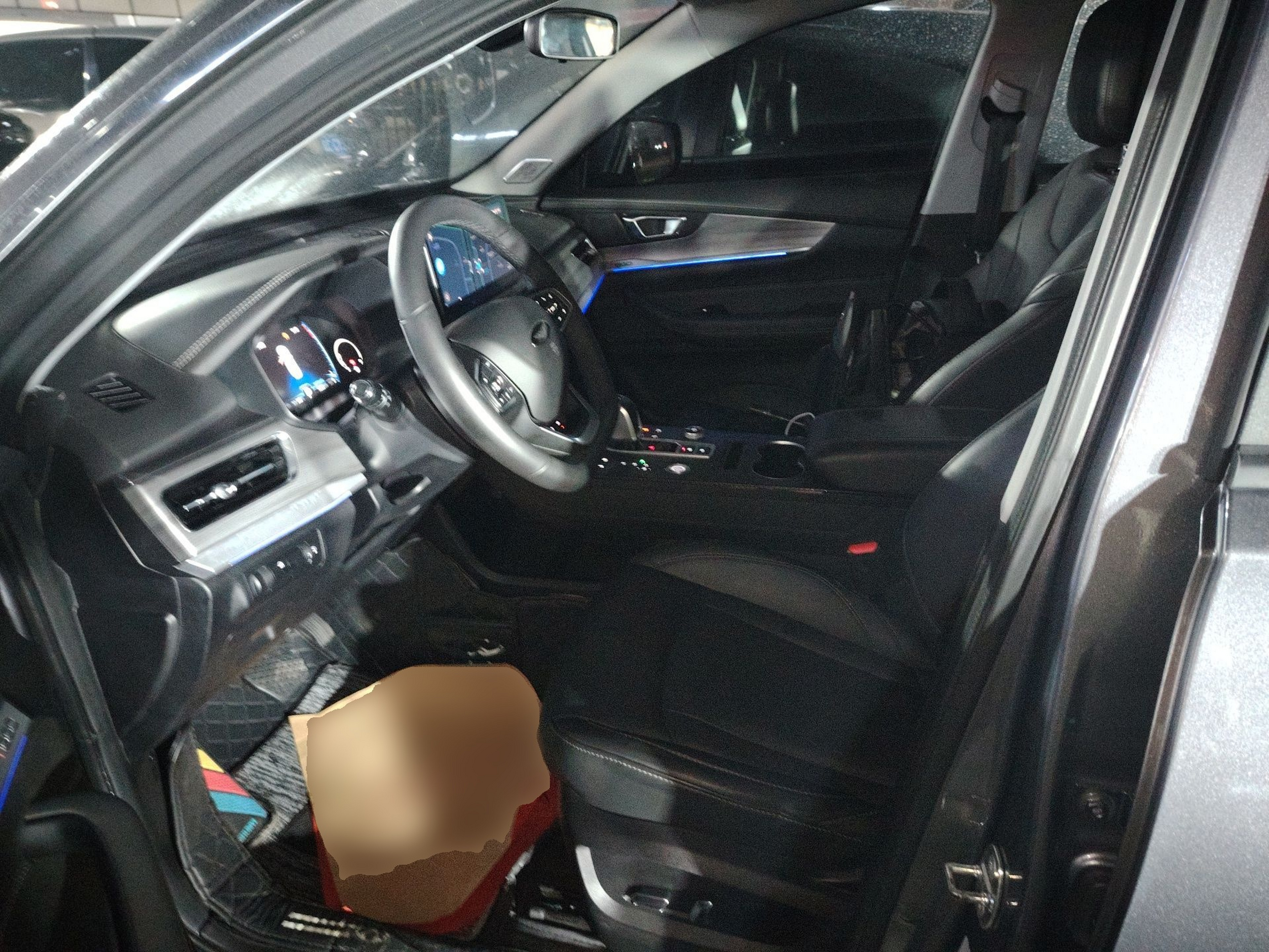 Interior delantero