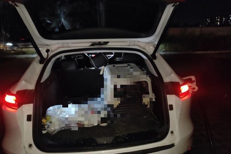 Used Changan UNI-K iDD 2022 Blue Whale iDD 130km 1.5T Prestige Model