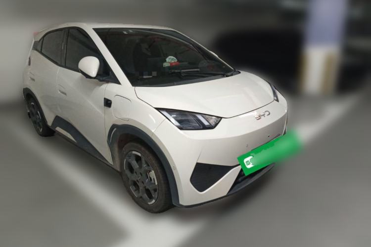 Used BYD Seagull 2025 Smart Drive Version 305 km Freedom Edition
