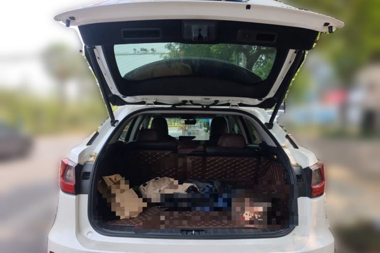 Used Lexus RX 2016 300 Two-Wheel Drive Elite Version China V Standard Trunk