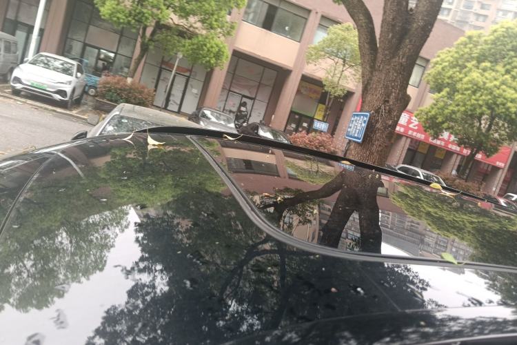 Used Lynk & Co 09 EM-P 2023 2.0TD EM-P Long-Range Version PM Six-Seater Roof