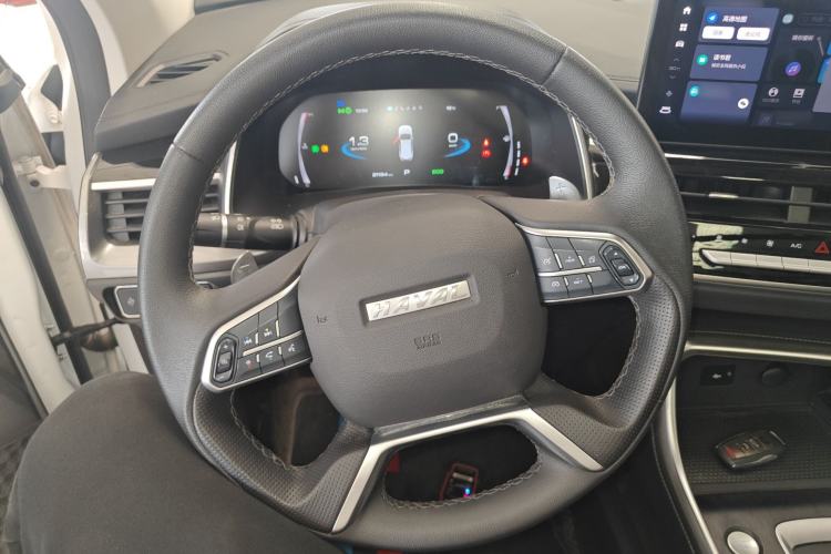 Used Haval H6 2021 National Trend Edition 1.5T Automatic Champion Version Steering Wheel