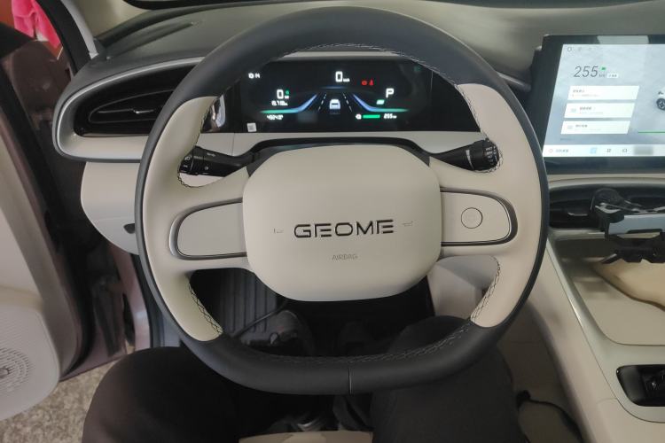Used Geely Galaxy Geome 2025 310km Youth Edition
