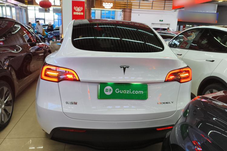 Used Tesla Model Y 2022 Revised Version Long-Range All-Wheel Drive