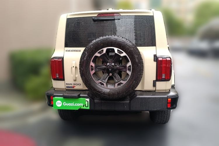 Used Tank 300 New Energy 2024 Hi4-T
