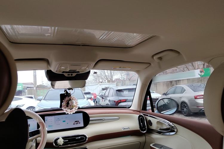 Used ORA Ballet Cat 2023 401 km Luxury Version
